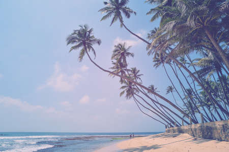 nice landscape with the ocean and palm treesの写真素材