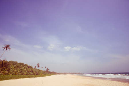 nice landscape with the ocean and palm treesの写真素材