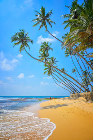 Untouched beautiful beach on the Indian Oceanの写真素材