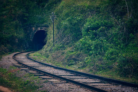 Tunnel near the Nine Arches Bridge in Sri Lankaの写真素材