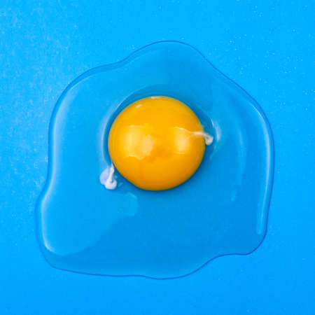 Raw egg on a blue backgroundの写真素材