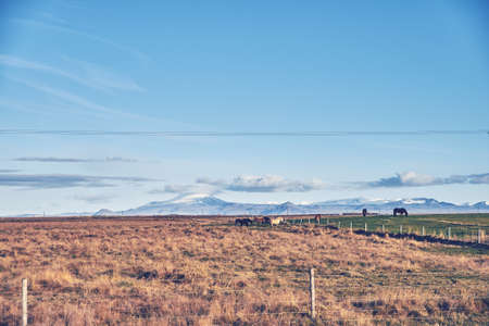 beautiful autumn landscape in Icelandの写真素材