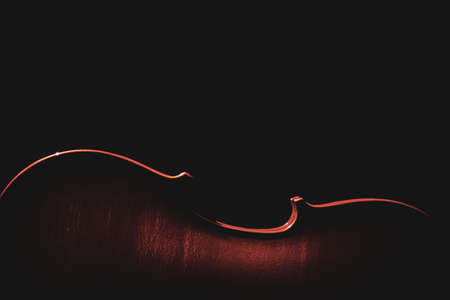 part of a violin on a black background with hard lightの写真素材