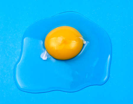 Raw egg on a blue backgroundの写真素材