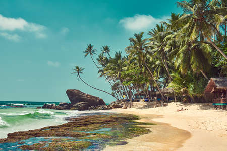 wonderful coast of the Indian Ocean in Sri Lankaの写真素材