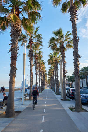 bicycle road in barcelona near the seaの写真素材