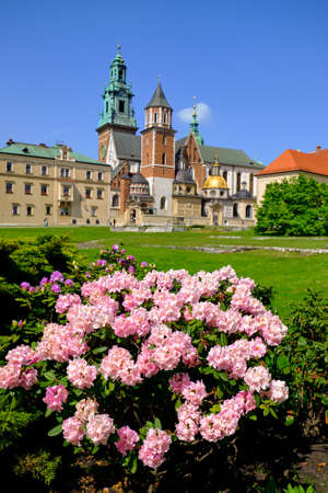Wawel Castle in Krakow, Polandのeditorial素材