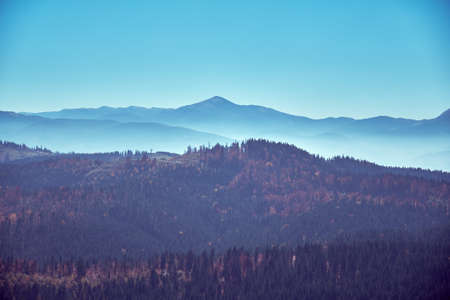Beautiful autumn landscape in The Carpathian Mountainsの写真素材