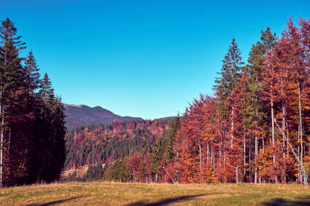 Beautiful autumn landscape in The Carpathian Mountains