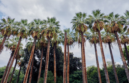 The National Garden in Athensの写真素材