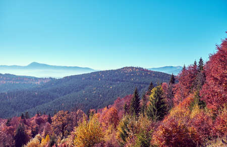 Beautiful autumn landscape in The Carpathian Mountainsの写真素材