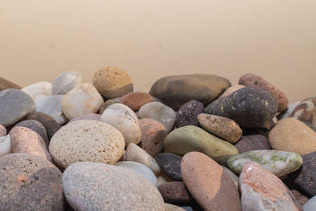 Small colored stones with beautiful beach wear, with some sea snails and sediments