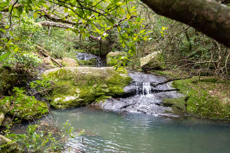 walking through the indigenous mountain, walking and excellent exercise in nature