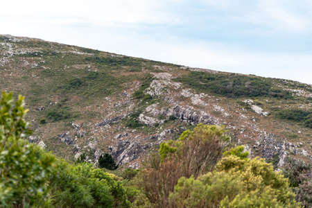 hills and vegetation in the mountains in southern Uruguayの写真素材