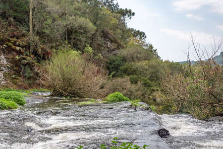 beautiful national park in cinnamon brazil, place of rest and walk in the mountainsの写真素材