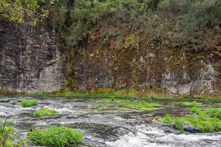 beautiful national park in cinnamon brazil, place of rest and walk in the mountainsの写真素材
