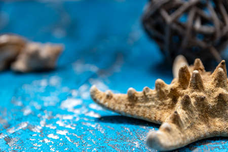 still life, summer ornaments with ocean elements in light blue old wood