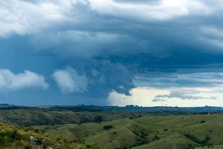 Natural park for hiking trips in indigenous vegetation of South America in Uruguay