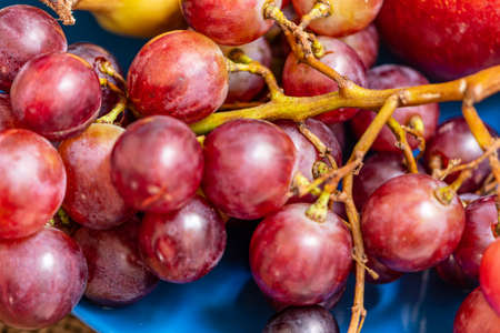 Fresh fruits to eat at any time of the day with many vitaminsの写真素材