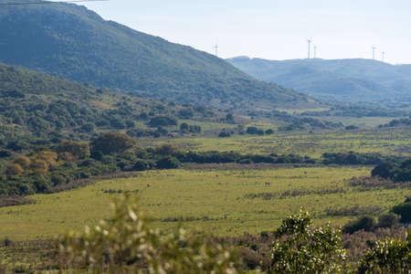 Mountain view landscape background.