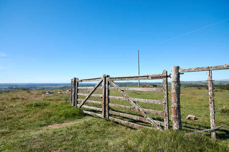 ecotourism in eastern Uruguay in green meadows and beautiful and warm mountainsの写真素材