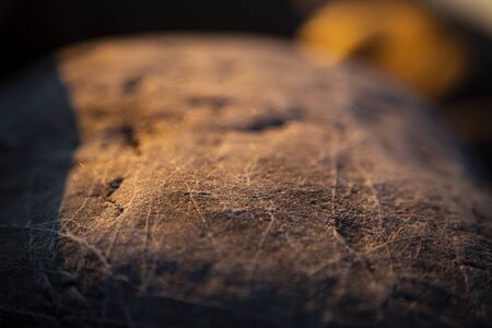 Stony beach stones and rocks sunlit in the evening closeup, texture sunset and sunriseの写真素材
