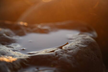 Closeup of Old tree trunk on the beach filled with water during the sunshine, sunrise on the beach
