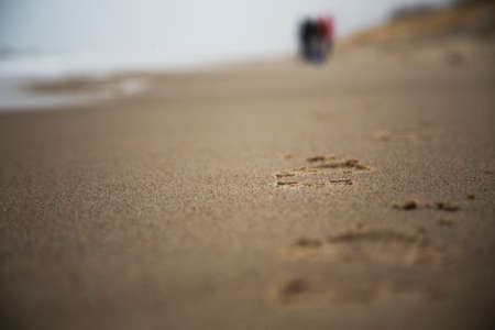 Footprints on a sandy beach with people in the backgroundの写真素材