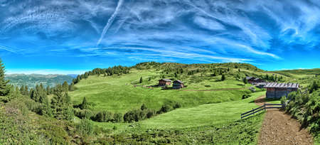 Italian mountain panorama in South Tyrol with chalet, dairy cows and green pastures on a sunny day  の写真素材