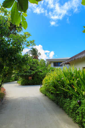 Warm and comfortable life on the islandのeditorial素材