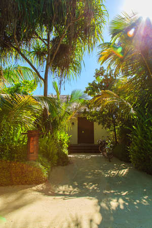 house at islandのeditorial素材