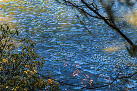 ice floating on the water