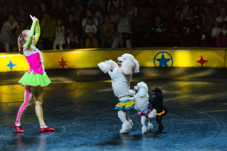 beauty and dogs in the circusのeditorial素材