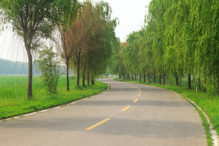 Wetland Park