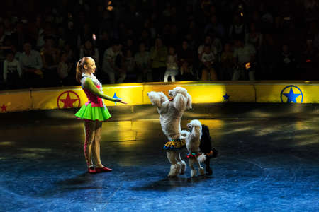 Beautiful lady and dog in the performanceのeditorial素材