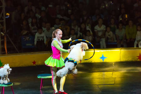 Beautiful lady and dog in the performanceのeditorial素材