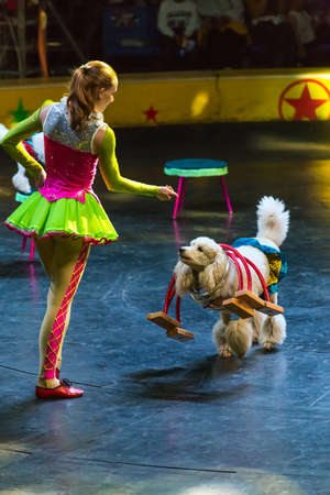 Beautiful lady and dog in the performanceのeditorial素材