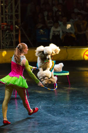 Beautiful woman and a dog performing in the showのeditorial素材