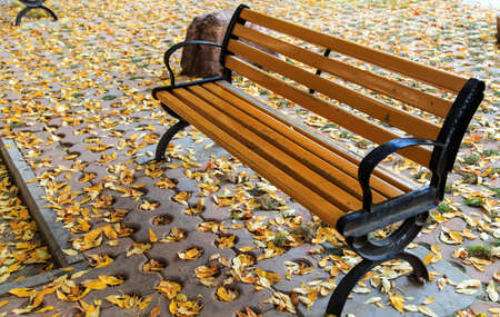 Autumn park bench surrounded by leaves