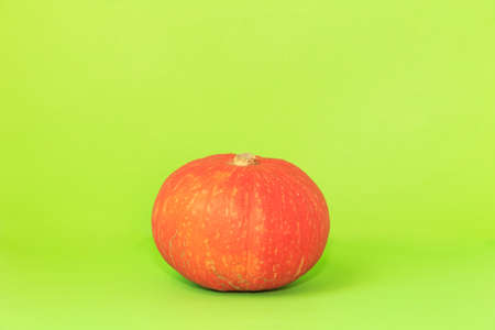 pumpkinsの写真素材