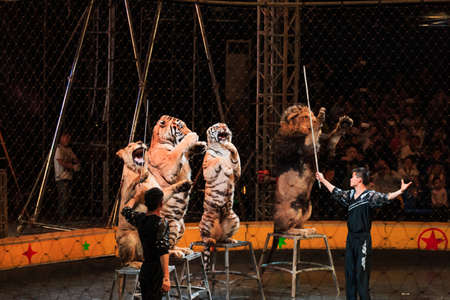 Circusのeditorial素材