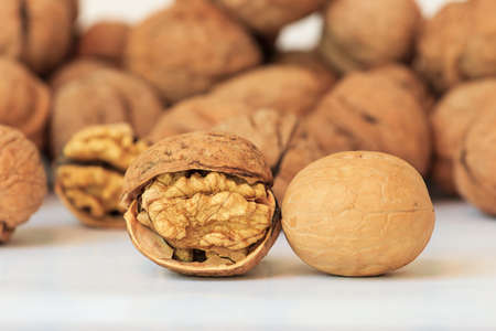 Walnut white background