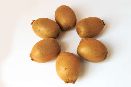 White background of the Kiwiの写真素材