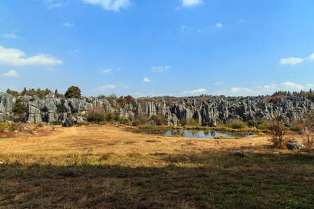 Stone Forest Scenic Area