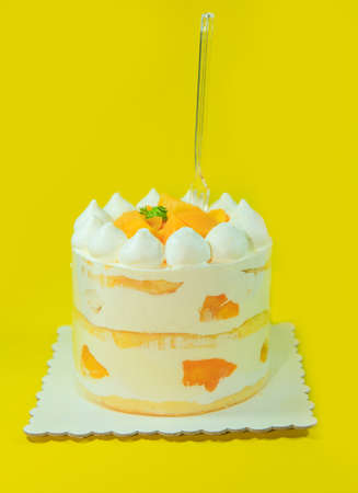 Delicious cakeの写真素材