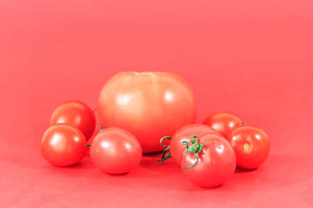 tomatoesの写真素材