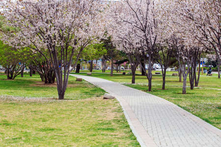 Vibrant springのeditorial素材