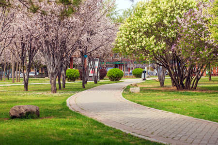 Vibrant spring view in a parkのeditorial素材