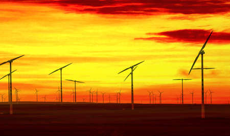 Windmill on the grasslandのeditorial素材