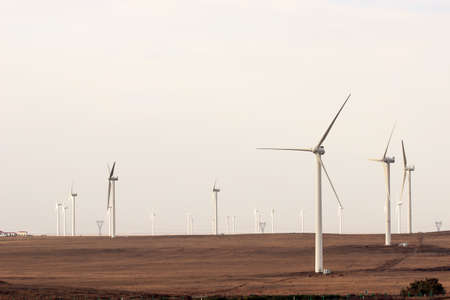 Windmill on the grasslandのeditorial素材